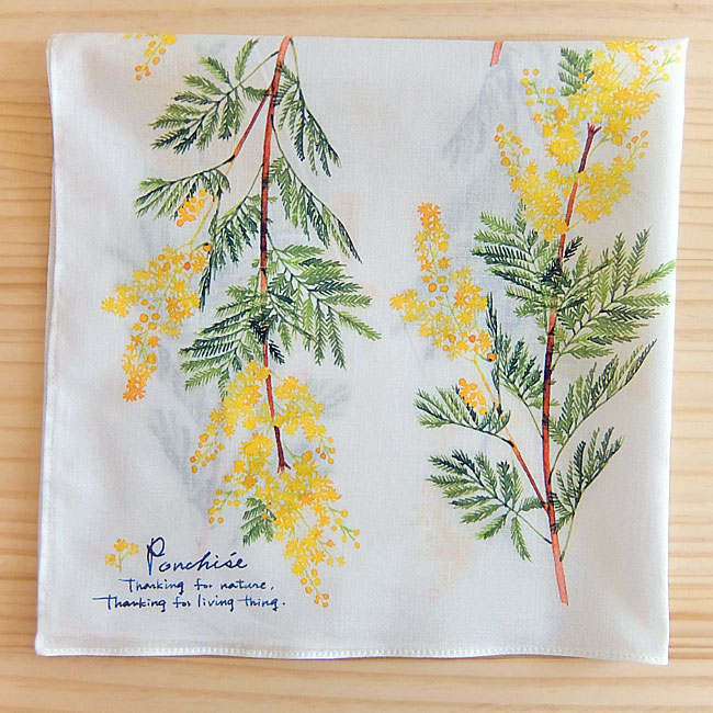 mimosa_hand2